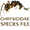 SF Chrysididae