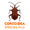 SF Coreoidea