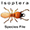SF Isoptera