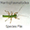 SF Mantophasmatodea