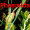 SF Phasmida