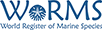 WoRMS Hydrozoa