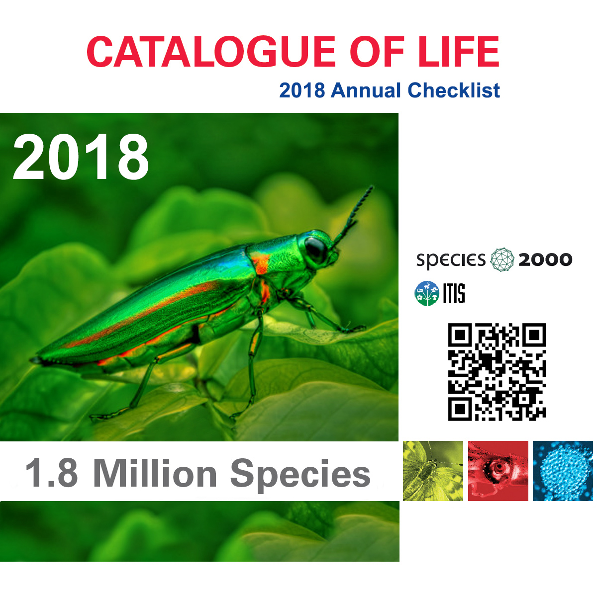 2011 Annual Checklist DVD front cover