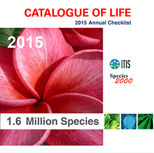 2011 Annual Checklist DVD front cover