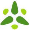 AnnonBase: AnnonBase: Annonaceae GSD