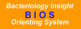 BIOS: BIOS: Bacteriology Insight Orienting System