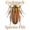 CockroachSF: CockroachSF: Cockroach Species File