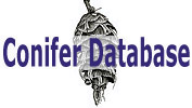 Conifer Database: Conifer Database
