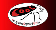 COOL: COOL: Cercopoidea Organised On Line