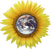 GCC: GCC: Global Compositae Checklist