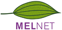 MELnet: MELnet: Melastomataceae.Net