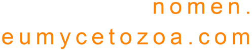 Nomen.eumycetozoa.com: Nomen.eumycetozoa.com: An online nomenclatural information system of Eumycetozoa