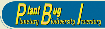 PBI Plant Bug: PBI Plant Bug: On-line Systematic Catalog of Plant Bugs (Insecta: Heteroptera: Miridae)