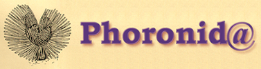 Phoronida Database: Phoronida Database