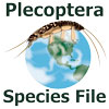 PlecopteraSF: PlecopteraSF: Plecoptera Species File