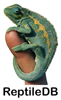 ReptileDB: The Reptile Database
