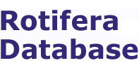 Rotifera: Rotifera Database