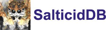 SalticidDB: SalticidDB: Global Species Database of Salticidae (Araneae)