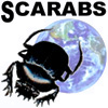 Scarabs: Scarabs: World Scarabaeidae Database Scarabs: Scarabs: World Scarabaeidae Database