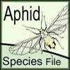SF Aphid: SF Aphid: Aphid Species File