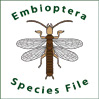 SF Embioptera: SF Embioptera: Embioptera Species File