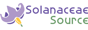 Solanaceae Source: Solanaceae Source