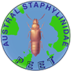 StaphBase: StaphBase: Staphyliniformia world catalog database