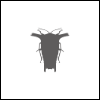 Tessaratomidae Database: Tessaratomidae Database: Illustrated catalog of Tessaratomidae