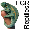 TIGR Reptiles: TIGR Reptile Database