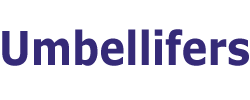 Umbellifers: Umbellifers: World Umbellifer Database