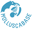 WoRMS Mollusca: WoRMS Mollusca: MolluscaBase