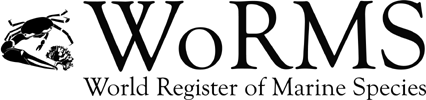 WoRMS Thermosbaenacea: WoRMS Thermosbaenacea: World List of Thermosbaenacea